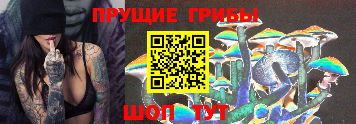 Псилоцибиновые грибы мицелий  Вход с VPN  Заводоуковск 