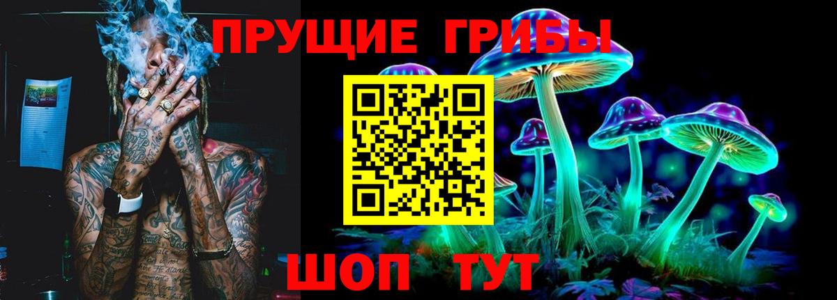 Галлюциногенные грибы Psilocybe Заводоуковск